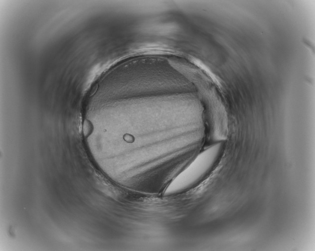 X0000095881461200802011033