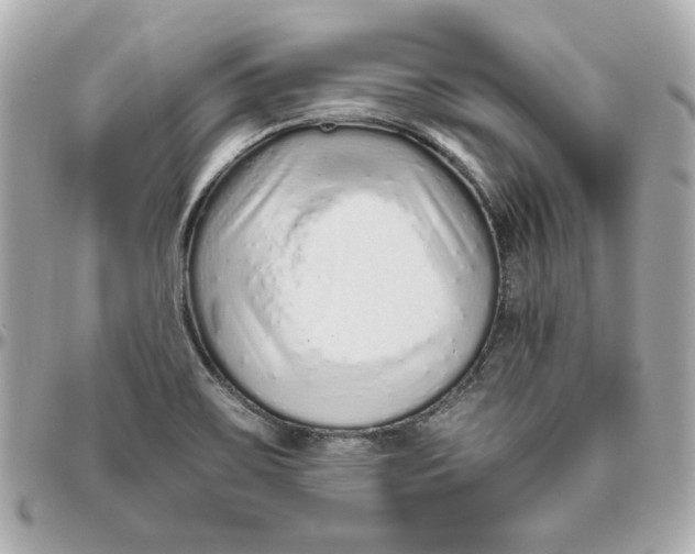 X0000095881467200802011033