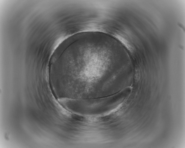 X0000095881468200802011033