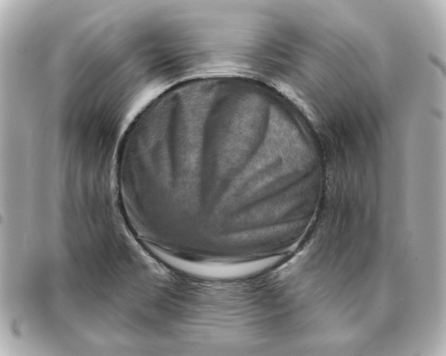 X0000095881469200802011033