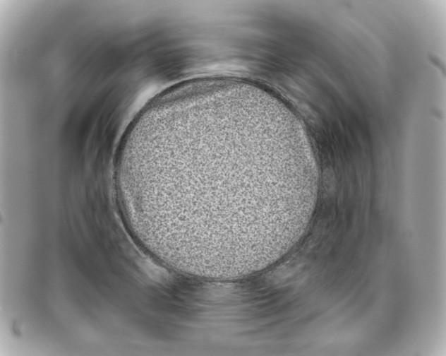 X0000095881470200802011033