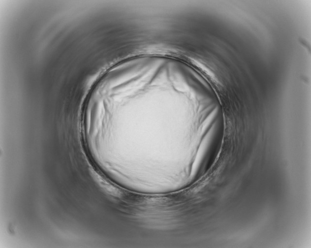 X0000095881471200802011033