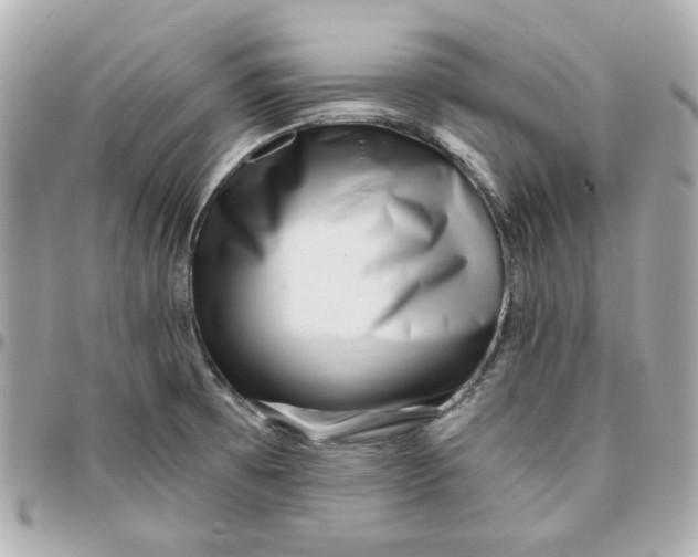 X0000095881473200802011033