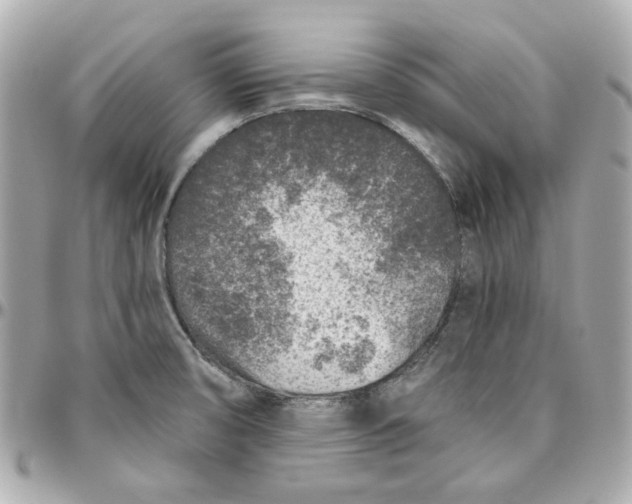 X0000095881474200802011033