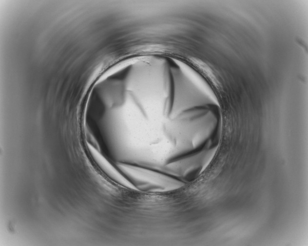 X0000095881475200802011033