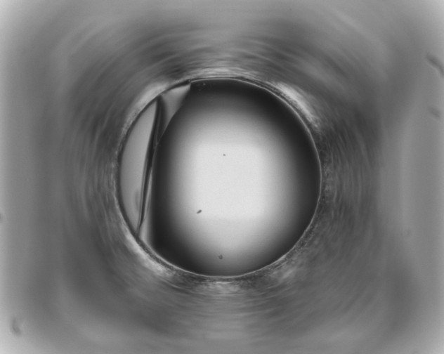 X0000095881476200802011033