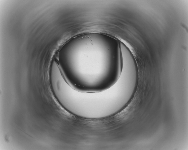 X0000095881477200802011033