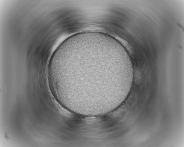 X0000095881478200802011033