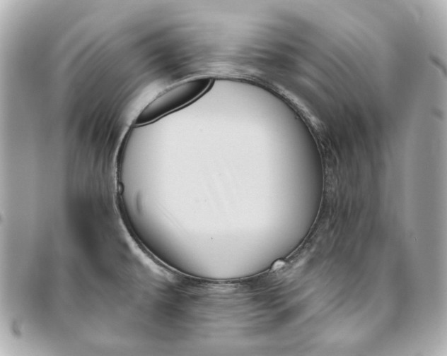 X0000095881479200802011033