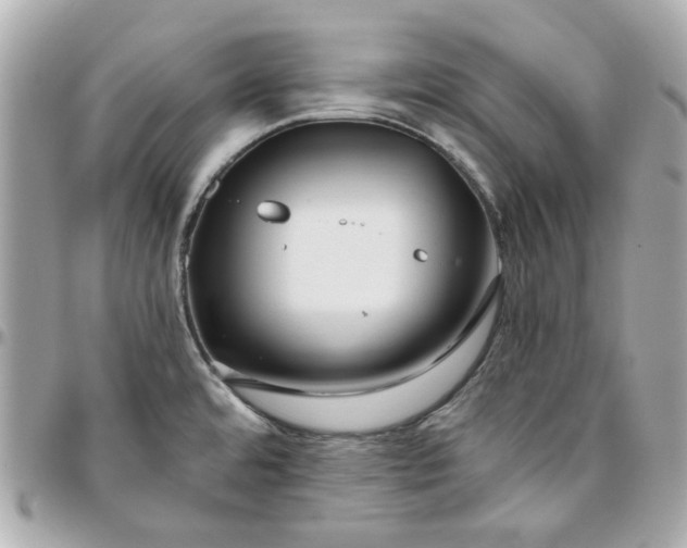 X0000095881480200802011033