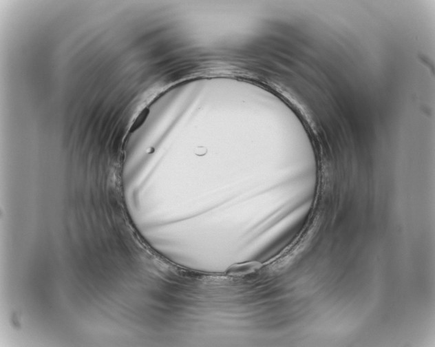 X0000095881481200802011033