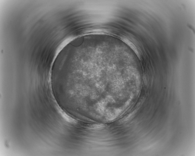 X0000095881482200802011033