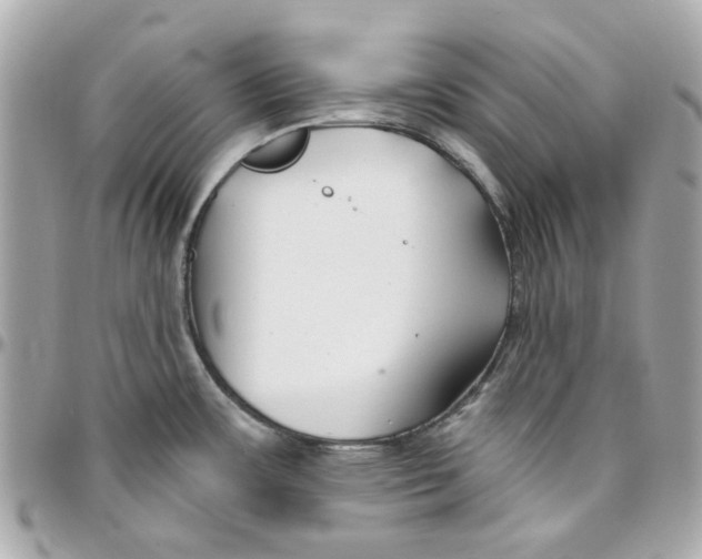 X0000095881483200802011033