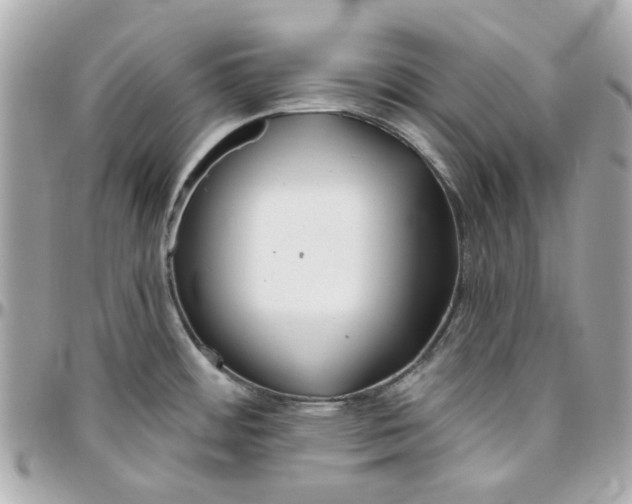 X0000095881484200802011033