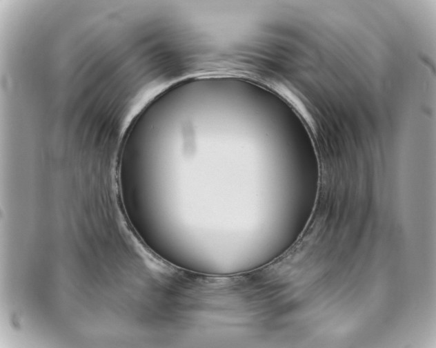 X0000095881485200802011033