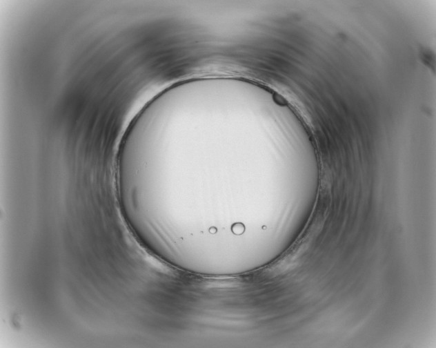 X0000095881486200802011033