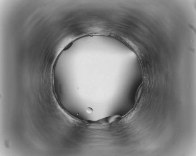 X0000095881487200802011033