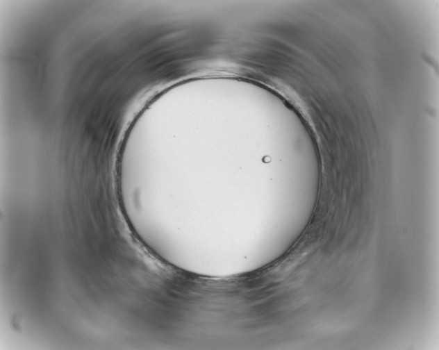 X0000095881488200802011033