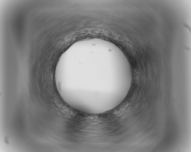 X0000095881489200802011032