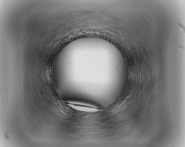 X0000095881490200802011032