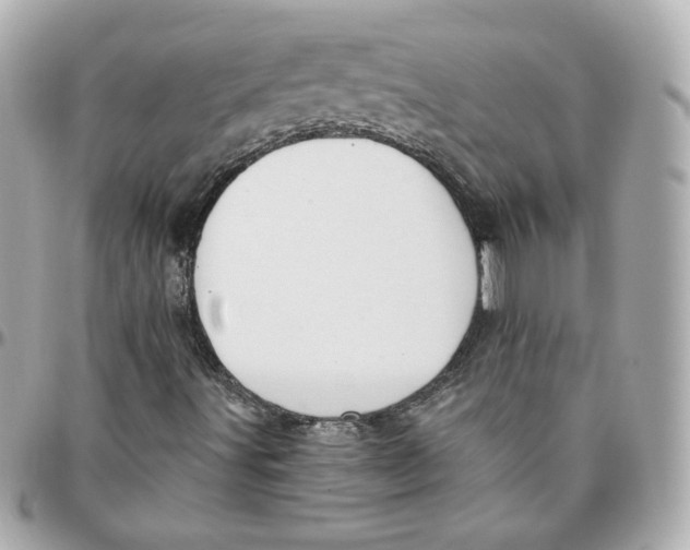 X0000095881491200802011032