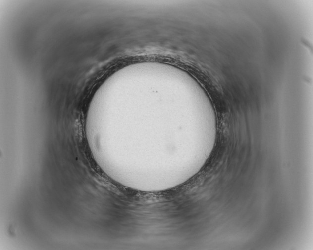 X0000095881493200802011032