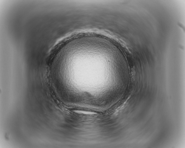 X0000095881494200802011032