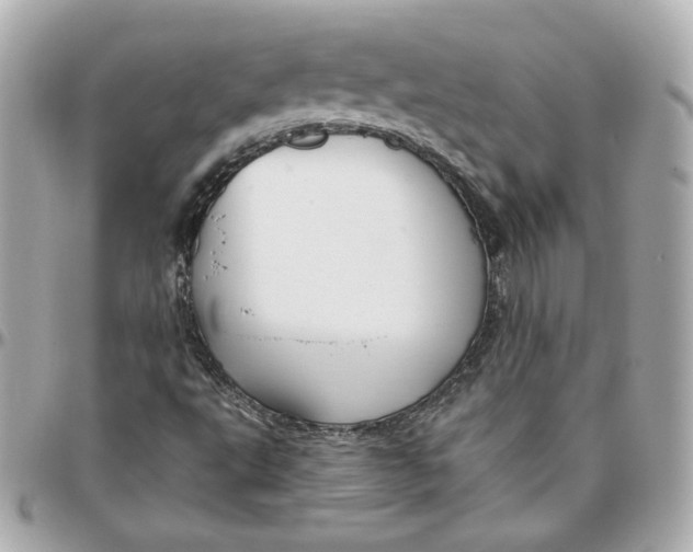 X0000095881495200802011032