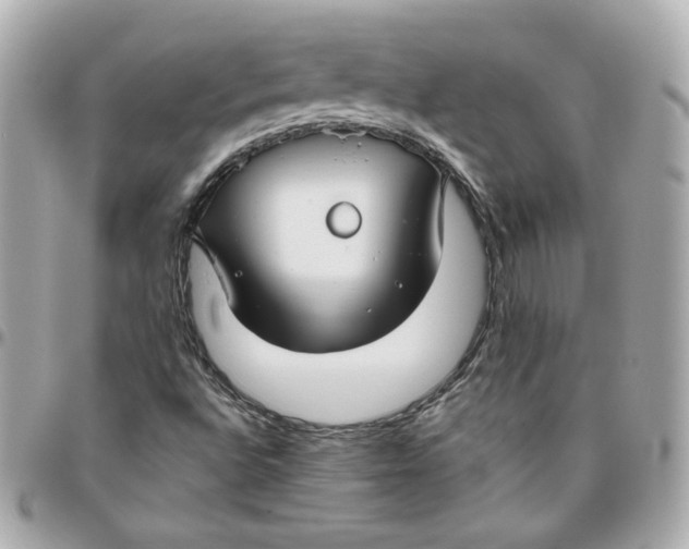 X0000095881496200802011032