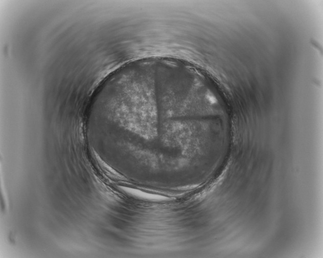 X0000095881497200802011032