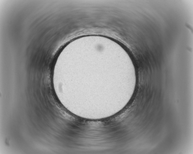 X0000095881498200802011032