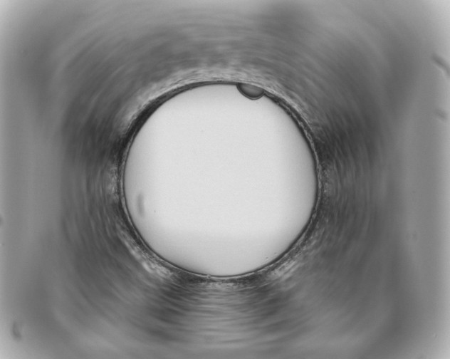 X0000095881499200802011032