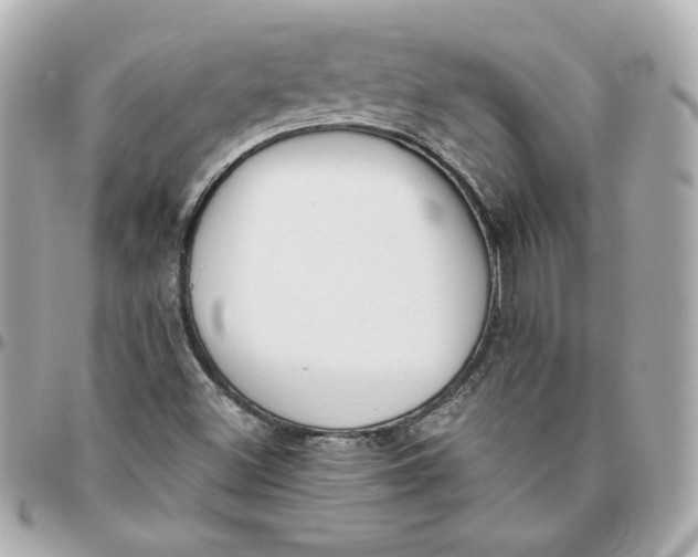 X0000095881500200802011032