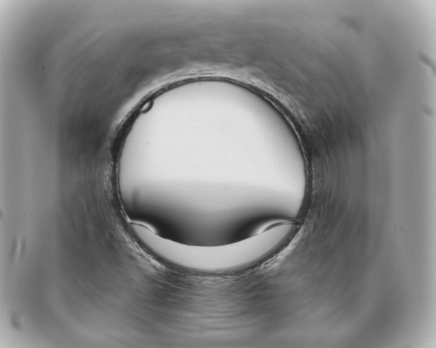 X0000095881502200802011032