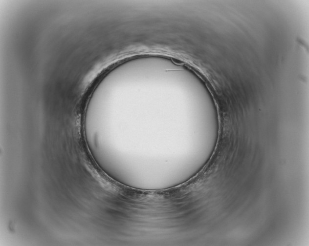 X0000095881503200802011032