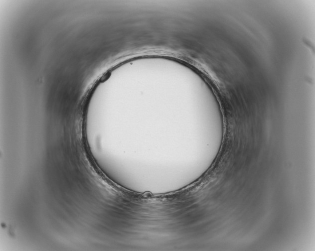 X0000095881504200802011032