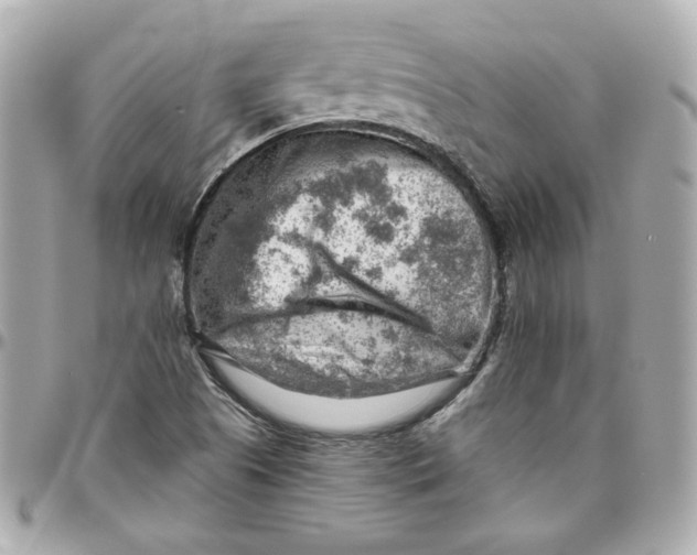 X0000095881505200802011032