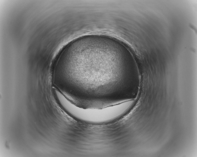 X0000095881506200802011032