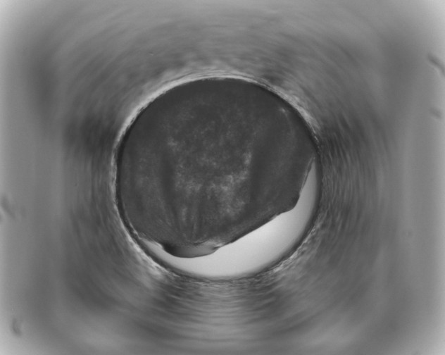 X0000095881508200802011032