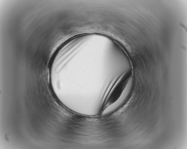 X0000095881509200802011032