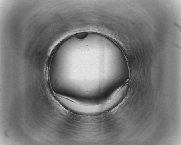 X0000095881510200802011032