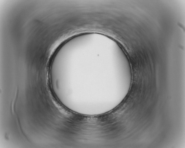 X0000095881511200802011032