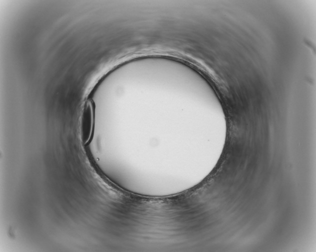 X0000095881512200802011032