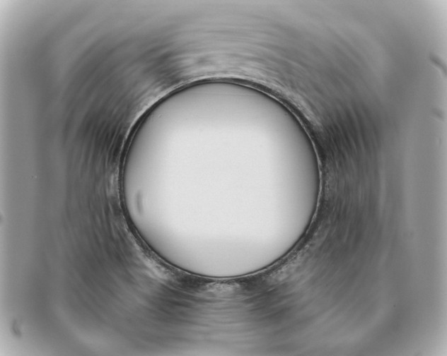 X0000095881513200802011032