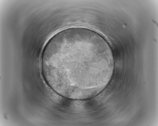 X0000095881514200802011032