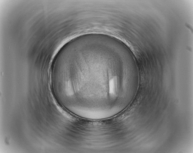 X0000095881515200802011032