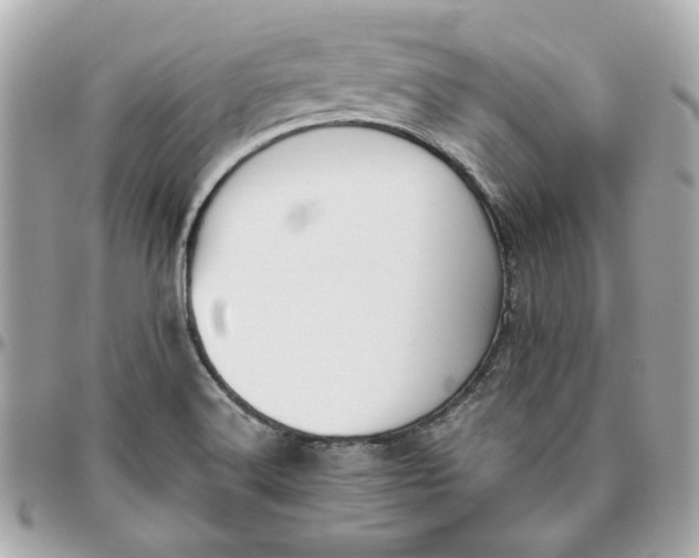 X0000095881516200802011032