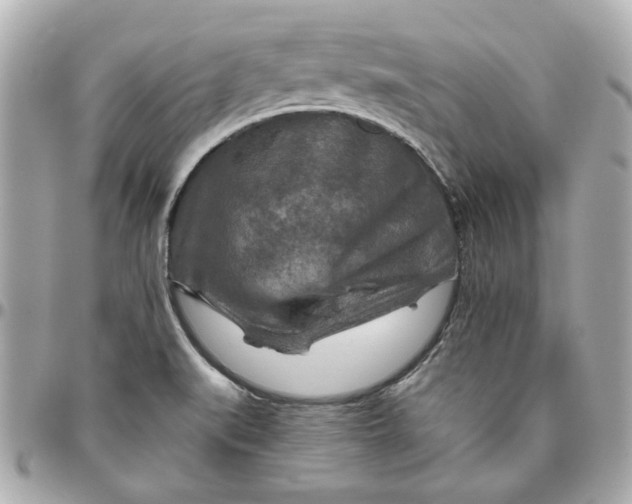 X0000095881519200802011032