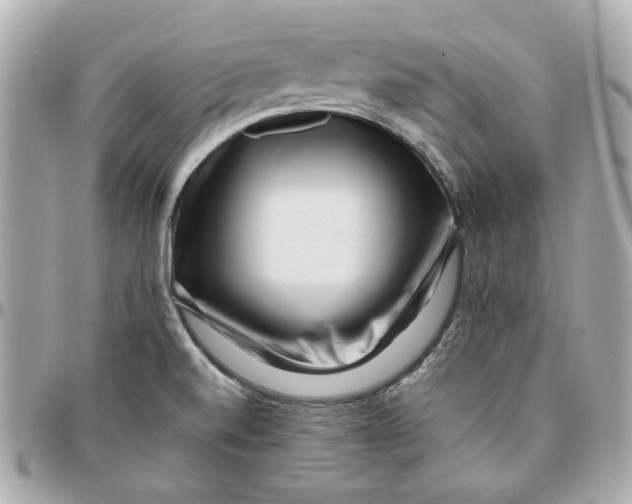 X0000095881520200802011032