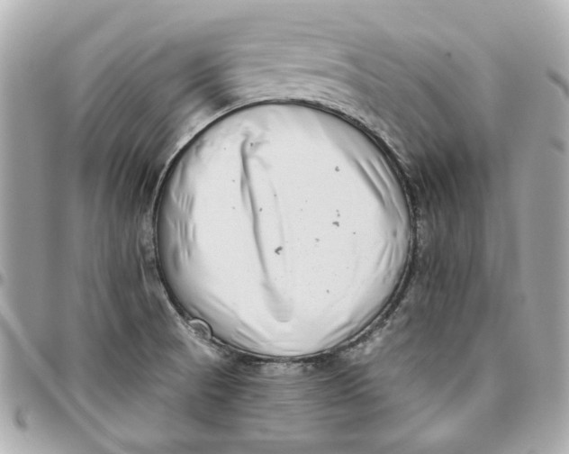 X0000095881521200802011032